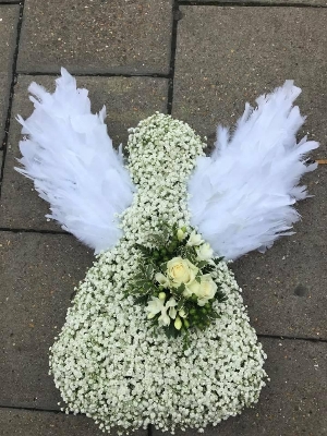 Gypsophila Angel Tribute