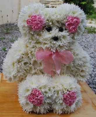 Girls teddy bear
