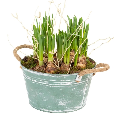 Spring planter