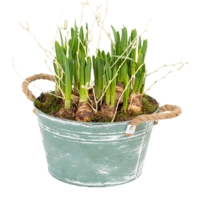 Spring planter