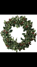 Fresh Holly Wreath