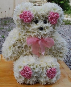 Girls teddy bear